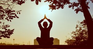 Glamping, Doğa İnzivası, Wellness İnzivası ve Yoga İnzivası Hakkında Genel Bilgiler farmchusaq4