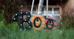 Pomeranian Boo Sahiplenme: Sevimli ve Neşeli Bir Dost Edinmek evciilplatform5