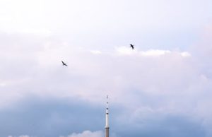 GTA 6 Ne Zaman Çıkacak? Son Gelişmeler ve Söylentiler gta 6 release date